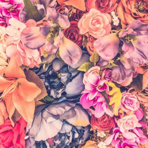 Flower Bed