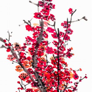 Red Flowers